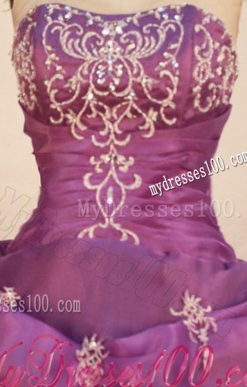 Pretty Ball Gown Pick-ups Appliques Lavender Quinceanera Dresses